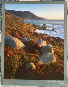 1966 Vintage Carmel The Nature Company - Garrapata State Beach Foto Carr Clifton - Bild 1 von 5