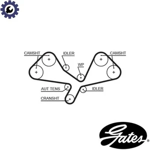 TIMING BELT 5605XS FOR AUDI A8/D3 A6/C5/C6 A4/B6/Convertible/B7 ASN/BBJ 3.0L - Picture 1 of 6