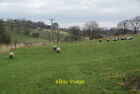 Photo 6x4 Sheep fields near Earby The near field is in the Pendle Distric c2012