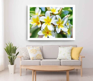 Plumeria Flowers Print, Plumeria Wall Art, Flowers Framed Flower Wall Art,Floral - Picture 1 of 5