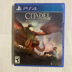 Citadel Forged with Fire - PlayStation 4 Standard Edition - Picture 1 of 5