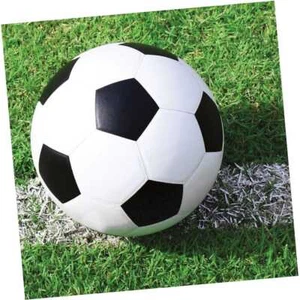 Soccer Fanatic Napkins Beverage 18CT - Picture 1 of 1