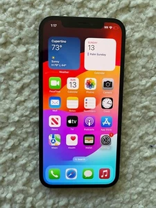 Apple iPhone 12 A2172 64GB Unlocked Black - Picture 1 of 5