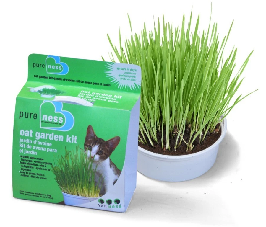 Van Ness Pureness Oat Garden Kit 4 oz  - Image 1 of 1