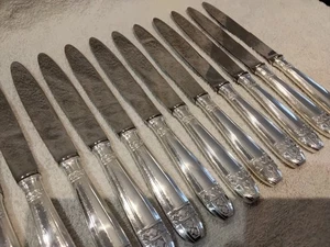 12 couteaux de table métal argenté Grand Prix de Monaco Francia 24,7cm - Imagen 1 de 10