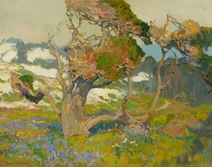 Franz Bischoff Gnarled Old Pine And Spring Flora Canvas Print 16 x 20 - Picture 1 of 5