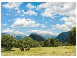 Wallario Teppich Fußmatte ab 50x70cm -Motiv Bergwiese Alpen Panorama Landschaft - Bild 1 von 7