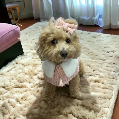 Elegant Pet Winter Cloak Hat and Hair Pin Set/Dog Cape/Pet Cloak/Supawmarket - Image 1 of 4