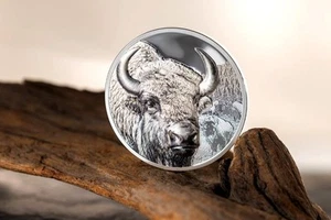 Mongolia 2025 500 Togrog BISON Wild Mongolia 1 oz moneta argento - Foto 1 di 3