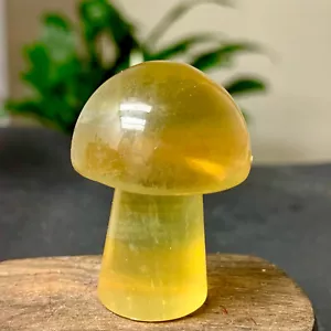 36GNatural flourite mushroom Crystal Quartz Mineral Decorate Energy Healing - Picture 1 of 17