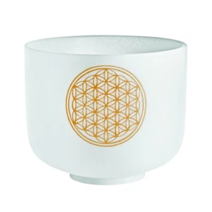 Sonic Energy PCSB8FOL - Singing bowl cristal 8'' - Imagen 1 de 4