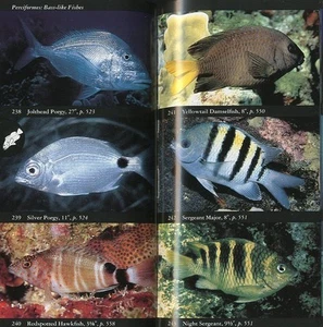 English National Audubon Society Field Guide to Tropical Marine Fishes - Picture 1 of 2