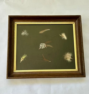 Vintage Fly Fishing Lures in Framed Shadowbox - Picture 1 of 4
