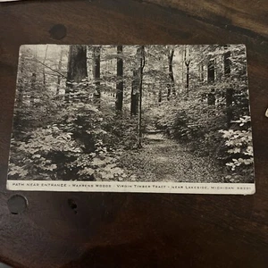 Vintage Postmarked 11th Jul 1942 Enterance @ Warrens Woods Virgin Timber Tract - Picture 1 of 3