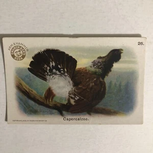 Capercalzee Victorian Trade Card Arm And Hammer VTC 5 - Picture 1 of 2