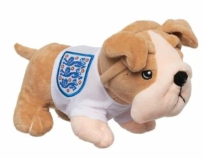 ENGLAND BULLDOG WORLDCUP 2024 FOOTBALL OFFICIAL MERCHANDISE FATHERS DAY GIFT - Picture 1 of 15