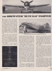Brewster Buffalo Aircraft Report 1/20/2023k1 - Picture 1 of 1
