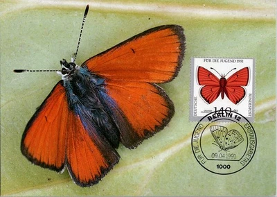 Germany 1991 Large Copper Butterfly FDC F�r die Jugend Scott 1710 Berlin Cancel - Image 1 of 2