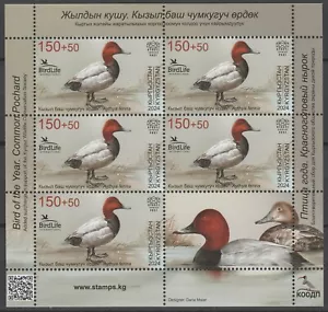 Kyrgyzstan 2024 Birds, Ducks MNH sheet - Picture 1 of 1