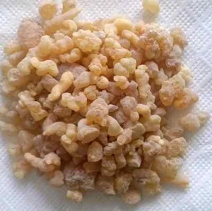 Natural Frankincense Extracted From The Boswellia Tree And Used In Traditional M - Picture 1 of 4