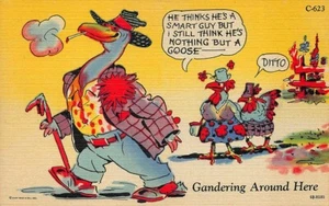 Ray Walters "Gandering Around Here" Curt Teich Verlag Postkarte - Bild 1 von 2