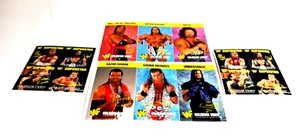 1995 Vintage WWF Lot Superstars Sticker Coliseum Video And Light Switch Covers - Bild 1 von 24