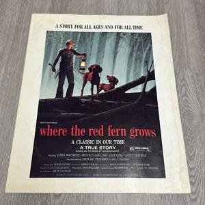 Where The Red Fern Grows Press Book Kit Movie Poster 1974 Original - Picture 1 of 16