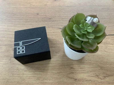 Ernstes Design Ring- R123 Größe 51- Edelstahl Süßwasserperle- Wie Neu  - Bild 1 von 4