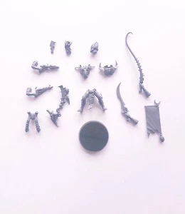 Dark Eldar Kabalite Sybarite Single Figure Model Bits - Warhammer 40k Drukhari - Bild 1 von 1