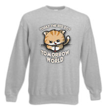 Today The Red Dot Sweatshirt Pullover cats cat Love Addicted Fun Laserpointer