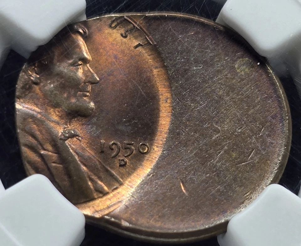1950 D Lincoln Wheat Cent NGC MS 65 RB Mint Error Struck 50% Off Center - Image 1 of 4
