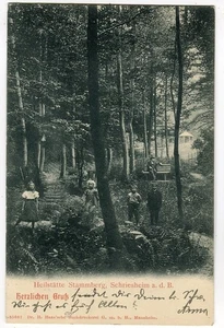 AK Schriesheim,Heilstätte Stammberg, Kinder,bei Ladenburg,Heddesheim 1908 - Bild 1 von 2