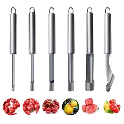 REYINL 6 Pieces Corer and Pitter Fruit & Vegetable Multi-Function Stainless Corer an...