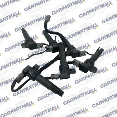 07-18 Hyundai Santa Fe 3.5L FWD Ignition Igniter Coil Pack Set 27301-3C000 OEM Foto 1 de 4