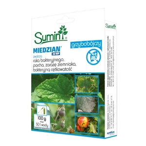 FUNGIZID KUPFER 50 WP 100G - Bild 1 von 1
