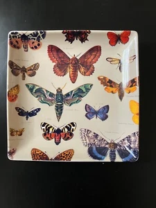 Biologica ceramic Butterfly/moth trinket tray - Picture 1 of 7
