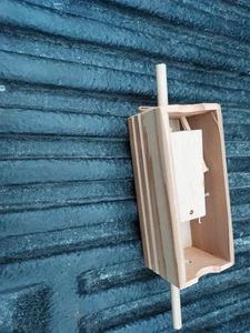 Pulsador de madera genuinamente hecho a mano llamada de pavo - ¡Nuevo, sin usar! - Imagen 1 de 7