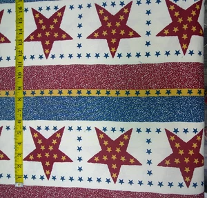 "Parade Day" Quilt Fabric Thimbleberries Camp 2006, RJR, 2 yds. - Picture 1 of 3