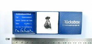 Meteorit Campo del Cielo / Anhäger + Lederband / Sternschnuppe / Meteor / neu - Bild 1 von 5