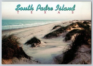Postcard Continental - Vintage South Padre Island Texas Sand Dunes - Picture 1 of 2