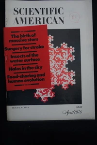 SCIENTIFIC AMERICAN - FRACTAL CURVES - Apr 1978 v238 #4 - Bild 1 von 1