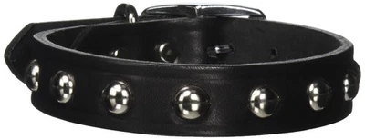Collar de perro Leather Brothers de cuero con tachuelas Latigo 1 x 20 pulgadas grande negro Foto 1 de 2