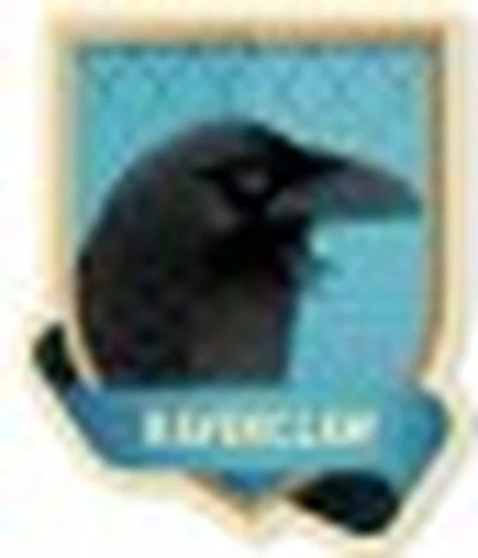 Rompecabezas Harry Potter Ravenclaw 331 piezas Grupo Erik Foto 1 de 1