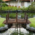 Wooden Garden Bridge Arc Stained Finish Walkway with Metal Chain Railings