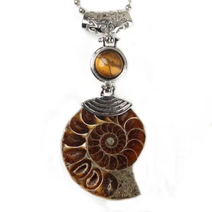 Natural Healing Crystal Quartz Gemstone Bead Druzy Ammonite Fossil Reiki Pendant - Picture 1 of 24