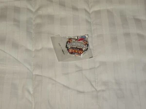 PIN DE COLECCIÓN SOUTHWEST AIRLINES SUPER BOWL XXXVI NUEVA ORLEANS NIP FÚTBOL AMERICANO NFL - Imagen 1 de 3