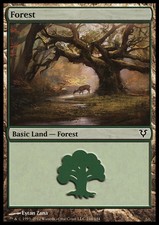 Magic the Gathering MTG Forest (244) Avacyn Restored   LP