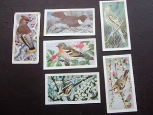 Wild birds in britain #1,4,5,8,13,15  choose card/s