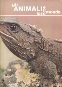 Gli animali e il loro mondo n.42 fabbri 1968 anno I settimanale - Picture 1 of 2