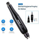 Dental Hygiene Prophy Handpiece Straight Nose Cone + Air Motor 4Holes 4:1 Kit